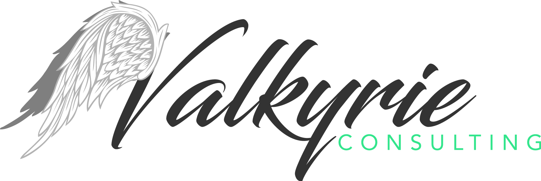 Valkyrie Team - Digital Marketing Consultant - Valkyrie Simulators